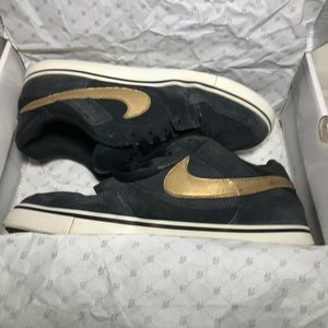 Nike sb PRod 2.5